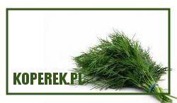 przyprawy, tipy, sosy, dodatki, smaczki, grill, kuchnia