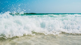 Tarczyca w tarapatach ? co robić? Zdrowie, LIFESTYLE - Co robić, gdy zaczynamy nagle tyć, czujemy ciągłe zmęczenie, wypadają nam włosy a nasza skóra jest wiecznie przesuszona? Czy to tarczyca daje nam sygnały, że coś jest nie tak?